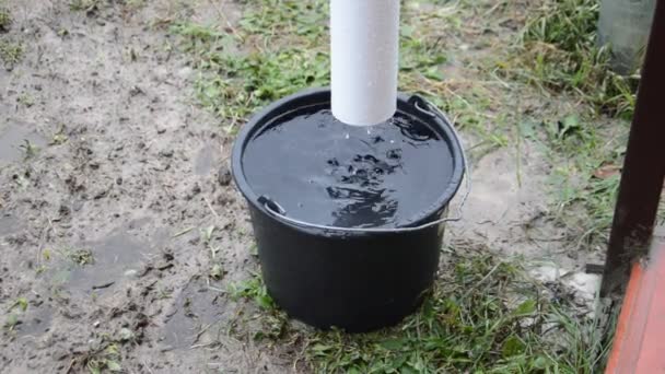 Dešťové kapky kapat přes střechu kanalizace do kbelíku - Záběry, video