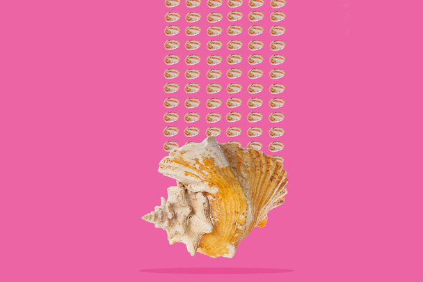 現代美術のコラージュ。小さな貝殻の繰り返しのパターンが出てくる大きな貝殻。ピンクの背景. - 写真・画像