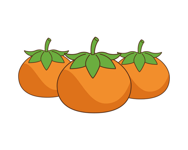 オレンジ柑橘類の自然アイコン - ベクター画像