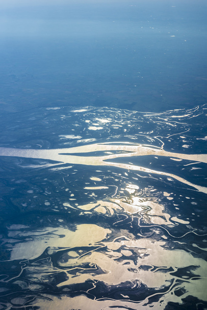Parana Nehri Deltası Arjantin. - Fotoğraf, Görsel