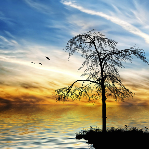 Tree, river and birds - Photo, Image