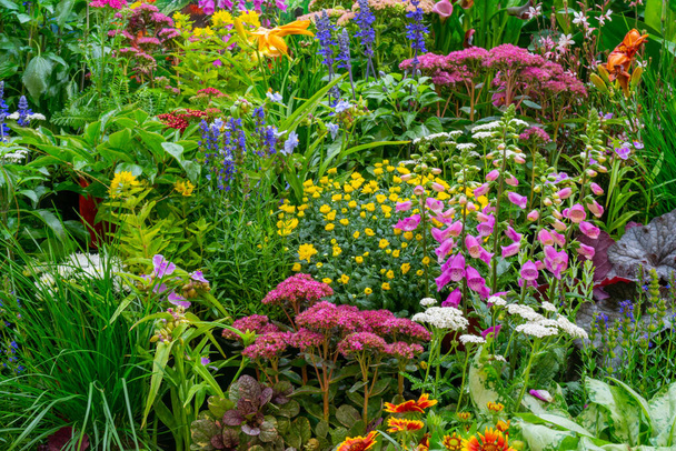 Díszítő virágok és növények a kertben. Tájépítészet. Természetes természetes háttér. Lágy fókusz. - Fotó, kép