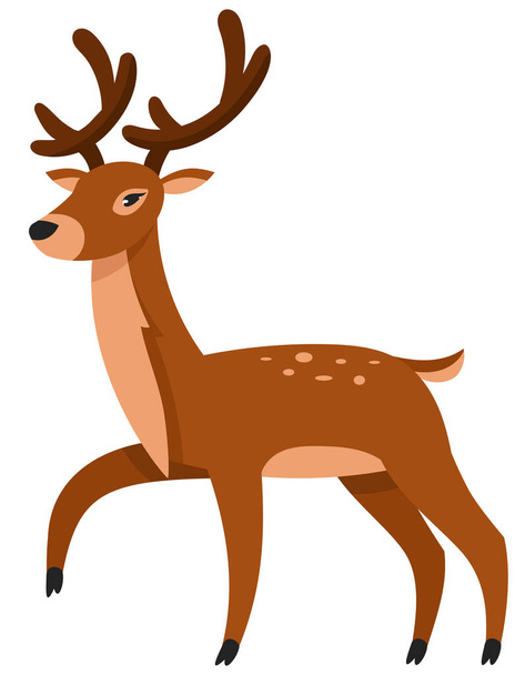  Standing reindeer three quarter view. Beautiful animal in cartoon style. - Vector, Image