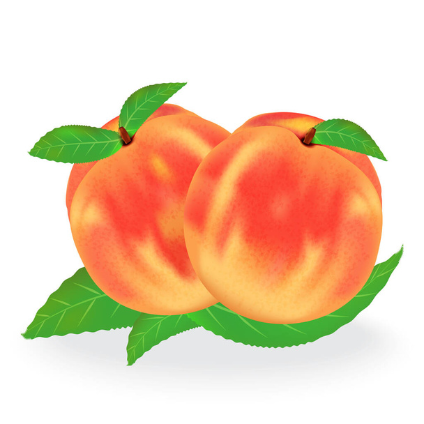 Group of peaches with leaves isolated on white background. Realistic vector illustration. - Vector, Image
