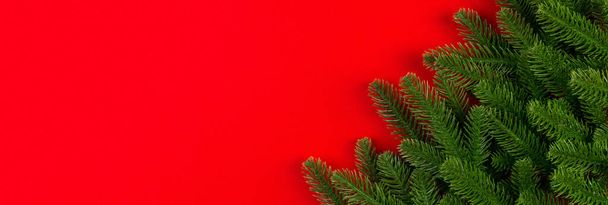 Top view Banner of green fir tree branches on colorful background. New year holiday concept with empty space for your design. - Φωτογραφία, εικόνα