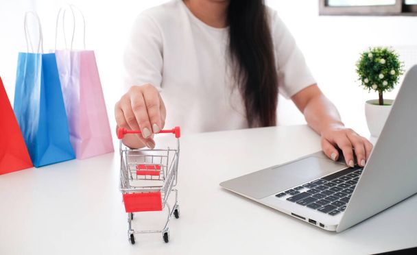 Kobieta i małe zakupy koszyk z laptopem do Internetu koncepcji zakupów online - Zdjęcie, obraz