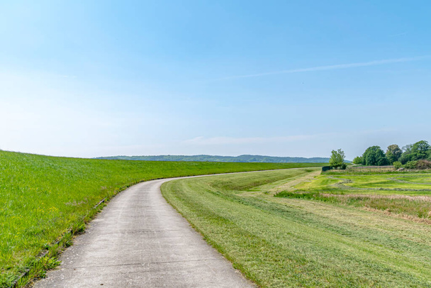 Blick über die Elbauen in Niedersachsen. Sie sehen eine Landschaft mit Wiesen, Feldern und Bäumen am Elberadweg. - Foto, Bild