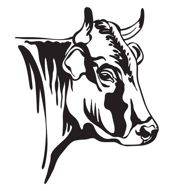 Retrato de contorno abstrato de touro com chifres ou ilustração vetorial de vaca isolada sobre fundo branco. Imagem de modelo de gravura para etiqueta, logotipo, emblema, design, embalagem, impressão e tatuagem. - Vetor, Imagem