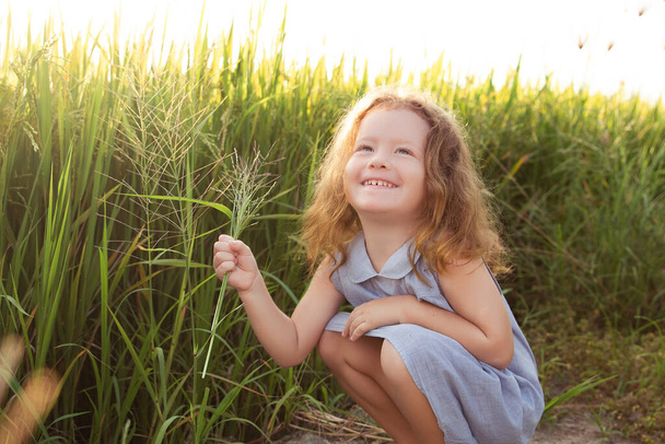 Happy little girl smile on rice field - Foto, Bild