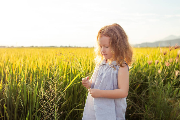 Happy little girl smile on rice field - Photo, Image