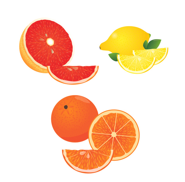a vektor, a narancs, a citrom és a grapefruit a citrusfélék - Vektor, kép
