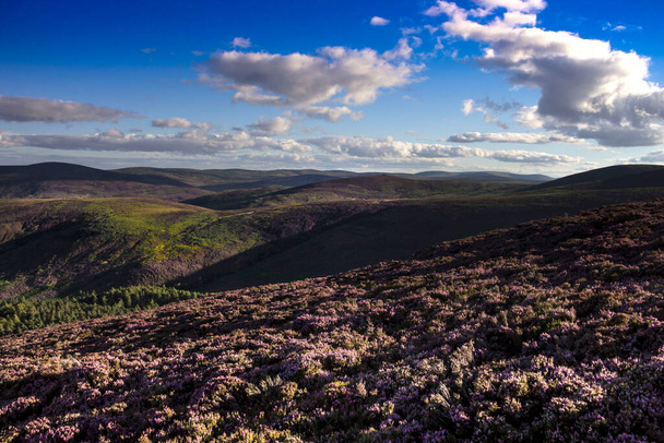 Sentier de randonnée dans le parc national de Cairngorms. Glen Dye, Aberdeenshire, Écosse, Royaume-Uni. - Photo, image