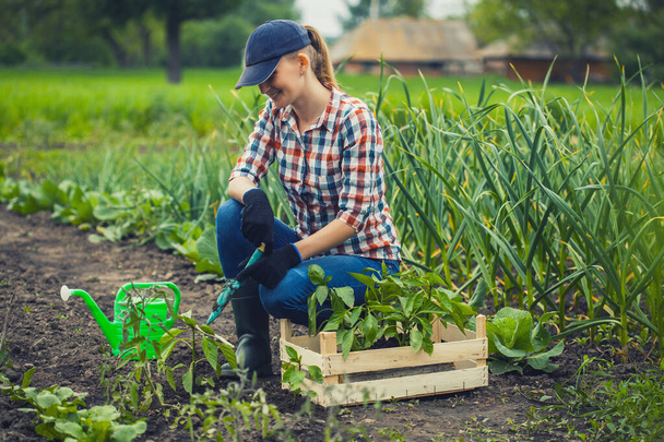 farmer girl at work in the garden. planting seedlings of pepper. - Fotoğraf, Görsel
