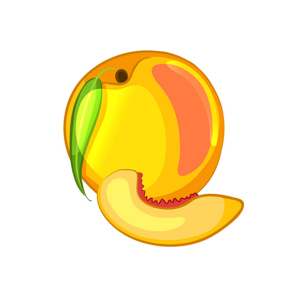 vector illustration of ripe peach on white background - ベクター画像