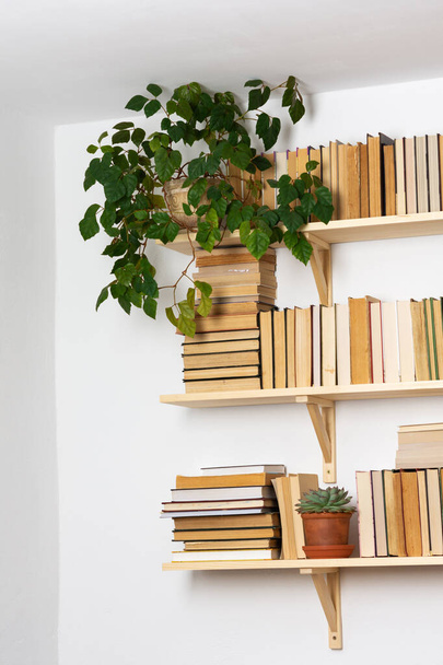 Light wooden bookshelves with hardback overturned books in white interior, indoor flowers on the shelves, home library, biophilic design and plants - Photo, image