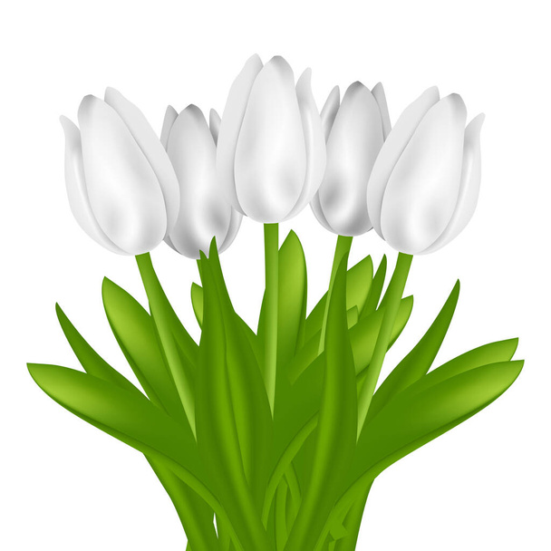 Schöner Strauß von fünf weißen Tulpen auf weißem Hintergrund. Vektorillustration - Vektor, Bild