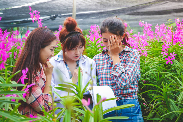 Üç güzel kız bir orkide çiftliğinde bitki araştırma sonuçları hakkında konuşuyor. - Fotoğraf, Görsel