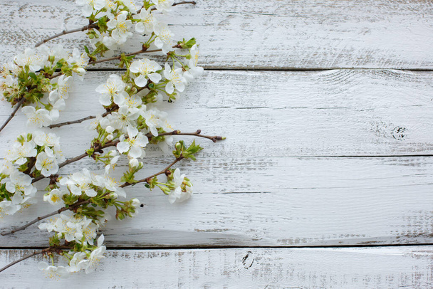 white spring flowers on a wooden background - Valokuva, kuva