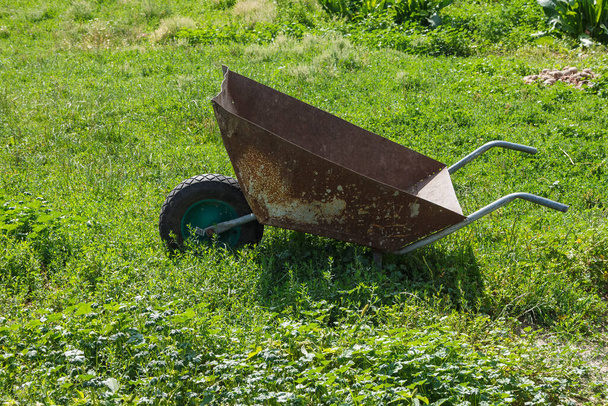 Staré zahradní kolečko mezi trávou v zahradě - Fotografie, Obrázek