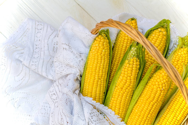 Fresh corn on cob in wicker basket. Untreated corn cobs. Fresh corn vegetable in basket. Harvested corn in wicker basket, freshly picked maize ears out in agricultural field landscape, selective  - Photo, Image