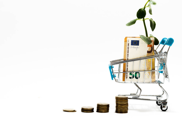 Money and shopping cart on a white background.Business concept. Euros banknotes in shopping cart - Photo, Image