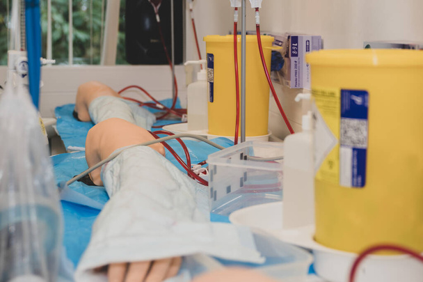 Worki z transfuzją krwi do nauczania i szkolenia w laboratorium symulacji medycznej.  - Zdjęcie, obraz
