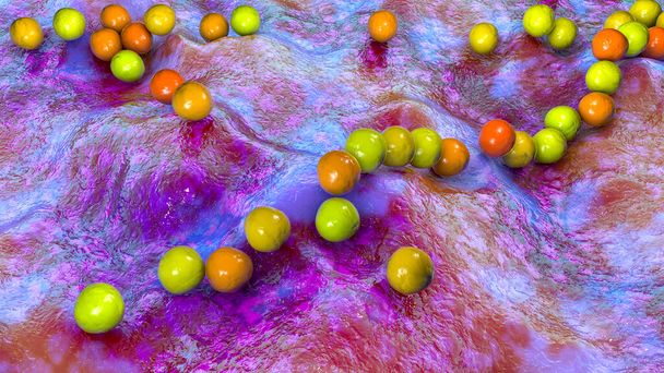 Gram-positive bacteria Streptococcus, S. pyogenes, S. agalactiae and other streptococci, the causative agents of Scarlet fever and other infections, 3D illustration - Zdjęcie, obraz