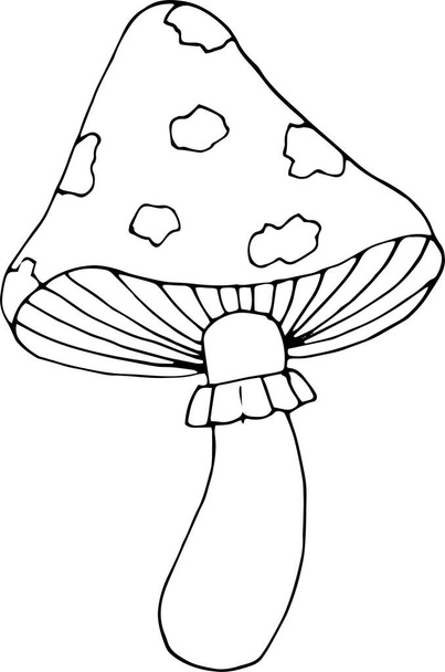 Vektorová čmáranice nakreslila amanitu. Černá silueta muškařské agarické houby. - Vektor, obrázek