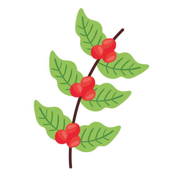 coffee plant grains and leafs nature flat icon - ベクター画像