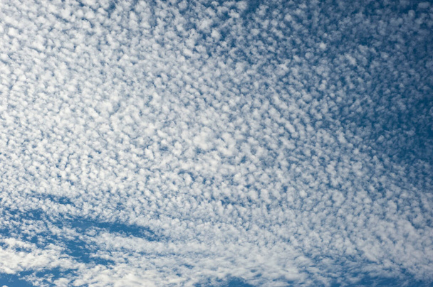 Λευκά ασυνήθιστα χνουδωτά σύννεφα στον γαλάζιο ουρανό. - Φωτογραφία, εικόνα