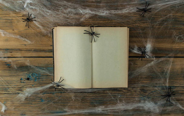 ανοίξτε το παλιό βιβλίο και Spiderweb πάνω από τοίχο από ξύλο. Γκρο πλαν άποψη του χαριτωμένο Απόκριες διακοσμήσεις. - Φωτογραφία, εικόνα