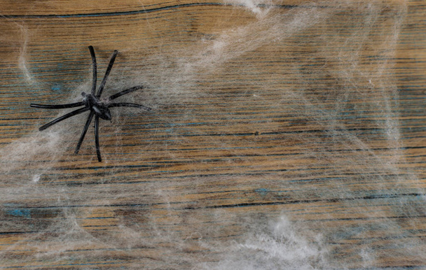 Ahşap doku arkaplan duvarında örümcek ağı veya örümcek ağı - Fotoğraf, Görsel