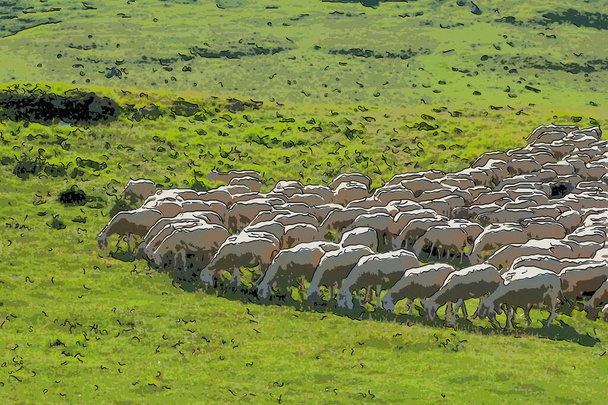 ilustracja graficzna stada wypasu owiec - Zdjęcie, obraz