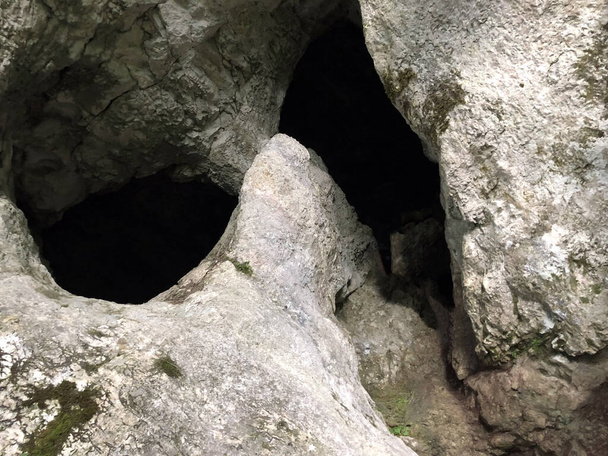 Barlangok a mészkő sziklák a Rak folyó kanyon, Cerknica - Notranjska Regionális Park, Szlovénia - Fotó, kép