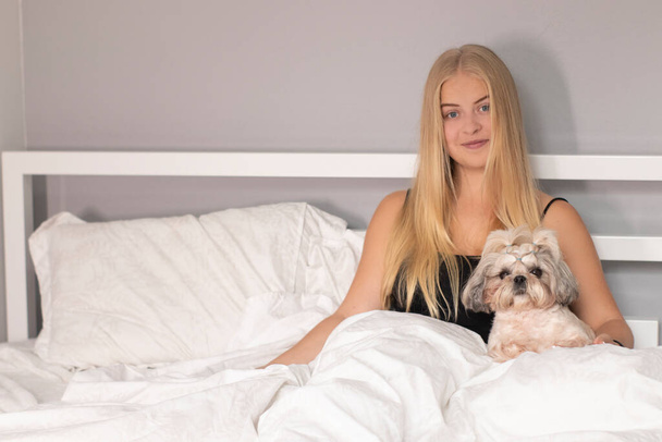 hermosa rubia con un cachorro shih-tzu en la cama con sábanas blancas. personas bonitas y mascotas en aislamiento - Foto, Imagen