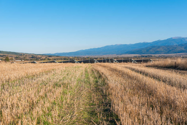 Személy nézet sárga mezőgazdasági területek betakarítás mellett napelem állomás másolás hely szöveg bulgária hegyek tech sheaves óvadékok széna szétszórva a területen - Fotó, kép
