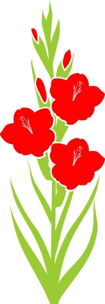 Silhouette of flowering red gladiolus with green leaves - Vector, Image