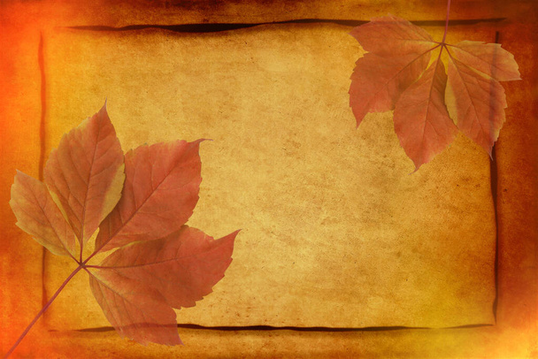 Autumn background. with frame and colorful red and orange fall leaves on golden vintage paper with grunge texture background and copy space for writing. - 写真・画像