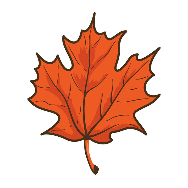 otoño arce hoja naturaleza icono - Vector, imagen