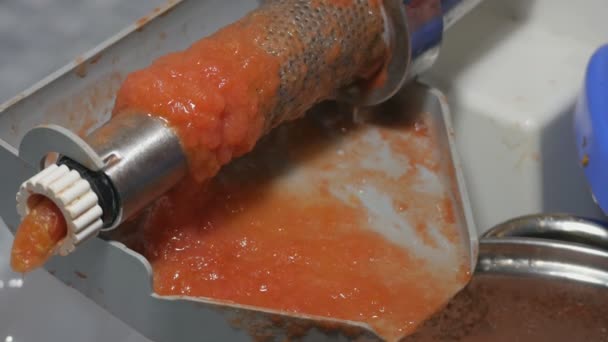 Elaboración de zumo de tomate fresco casero con máquina eléctrica. Separación de la corteza y las semillas del jugo de tomate. - Imágenes, Vídeo