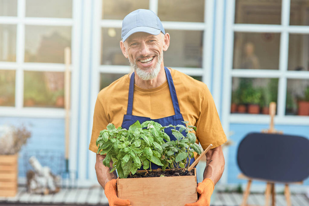 Hombre de negocios caucásico de mediana edad con hierbas picantes en crecimiento - Foto, Imagen