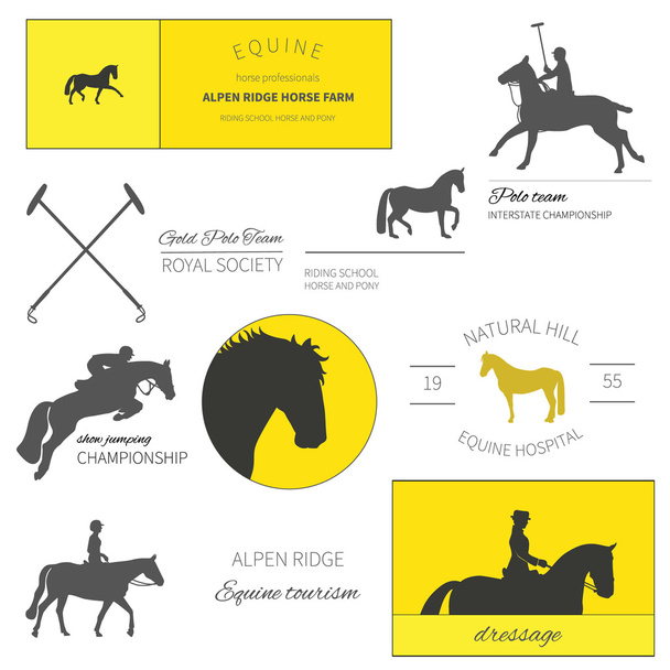 Set of perfect high quality horse labels for different equestria - Wektor, obraz