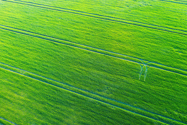 Friss tavaszi zöld mező traktornyomokkal felülről - Fotó, kép