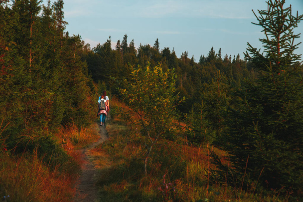 秋の山の森劇的な風景環境空間と2人が木に沿ってカメラに戻って歩く - 写真・画像