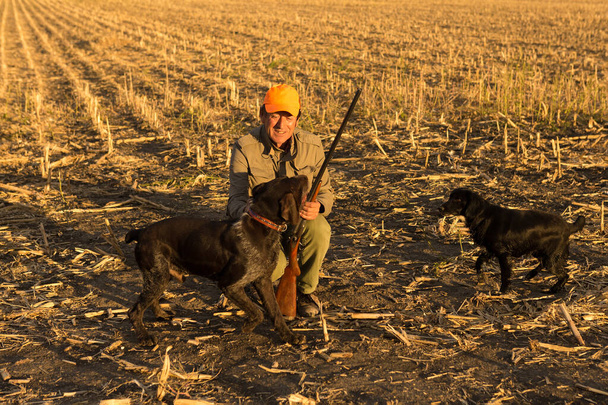 Bažantí lovec se zbraní a psy na pozadí dramatického západu slunce. - Fotografie, Obrázek