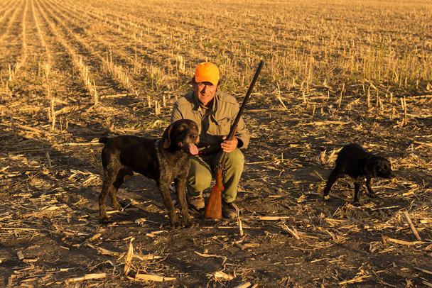 Pheasant hunter with a gun and dogs against the backdrop of a dramatic sunset. - Photo, Image