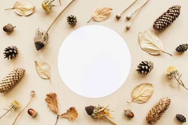 Autumn composition. Frame made of blank paper and acorn, cone, dried leaves, dried flowers on pastel background. Autumn, fall concept. Flat lay, top view, copy space. - Фото, изображение