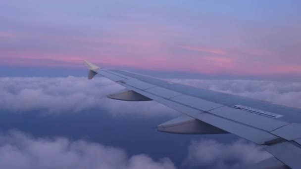 Včasné záběry letounu letícího na obloze pohybujícího se dopředu a dozadu - Záběry, video