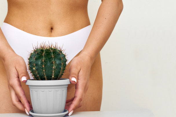 The girl holds a large cactus in the groin or bikini area. The concept of intimate hygiene, epilation and depilation, deep bikini shaving. - Φωτογραφία, εικόνα