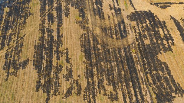 Reisfelder verbrennen, Luftaufnahme von der fliegenden Drohne des Feldreises, Waldbrände - Foto, Bild
